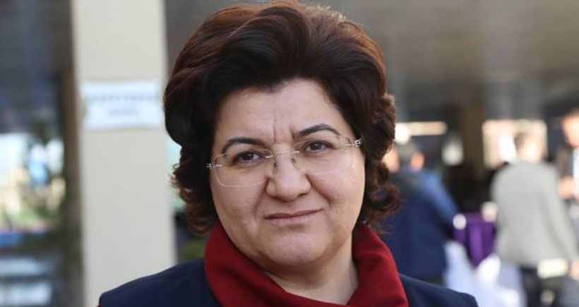 DBP'den Emine Ayna açıklaması: Demokratik siyaseti yükseltelim