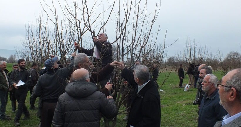 Bursa’da Dersimli çiftçilere fidan eğitimi