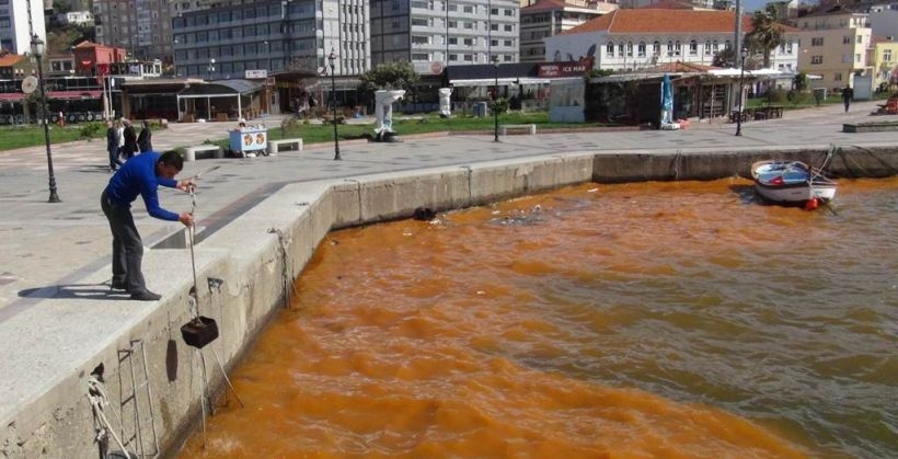 Bandırma’da alg patlaması denizin rengini değiştirdi