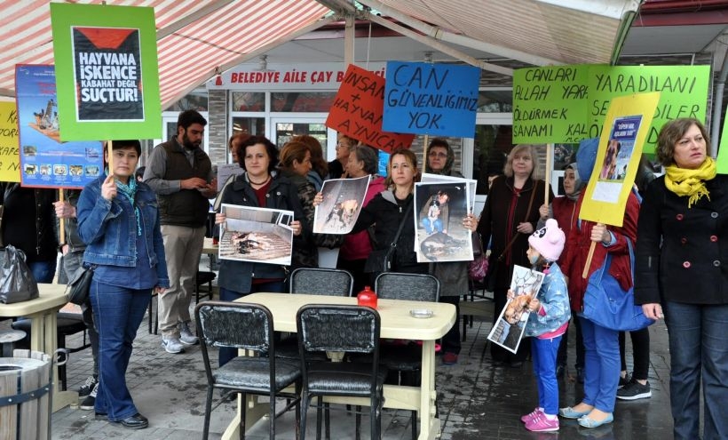 Bartın'da hayvanların zehirlenerek öldürülmesine tepki