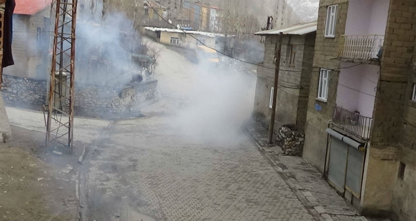 Hakkari'de Newroz kutlamalarına polis saldırısı
