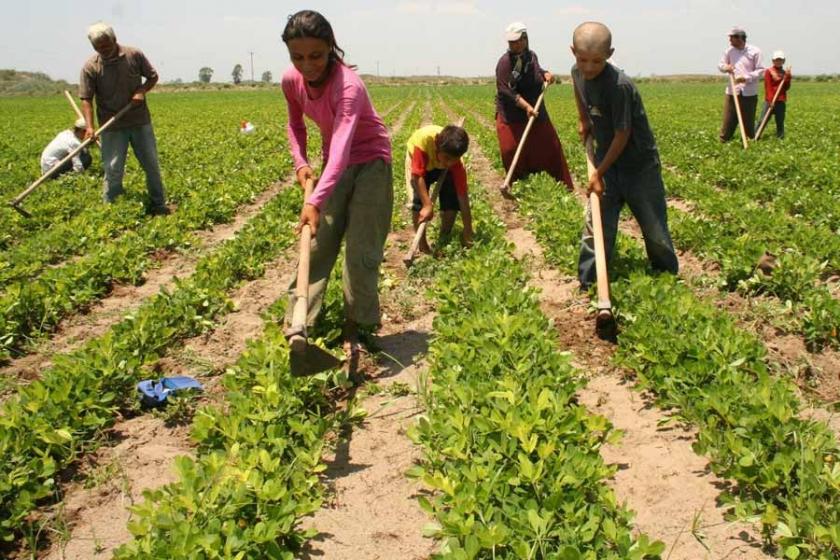Mevsimlik tarım işçileri için araştırma önergesi