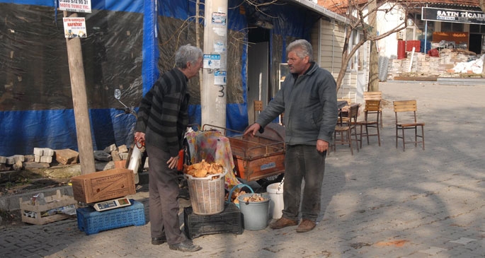 Organik köyün RES’e karşı hukuk zaferi