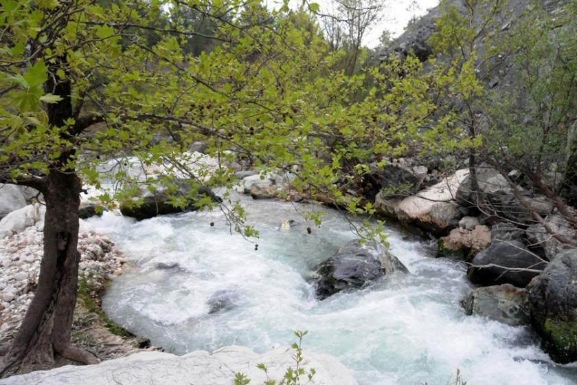 Alakır'daki HES projesinin 'ÇED Olumlu' raporu iptal edildi