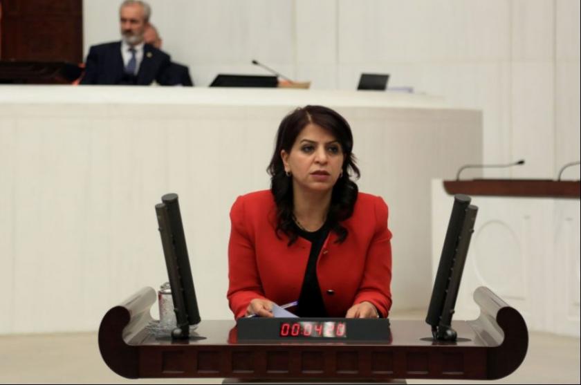 HDP’li Sibel Yiğitalp SES üyelerinin ihraç gerekçesini sordu