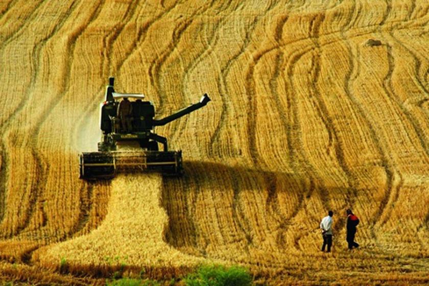 Tarımda üretim  alanlarının  sonuna gelindi