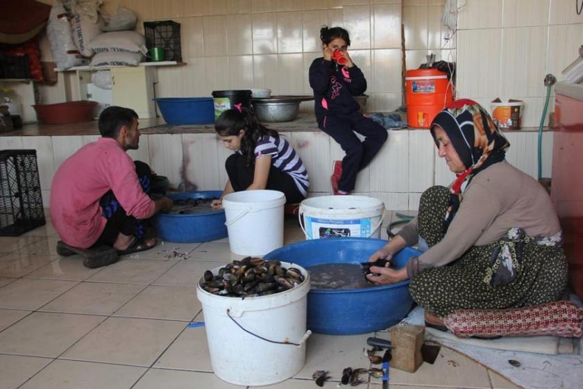 Midye dolmanın içinde sömürü gizli