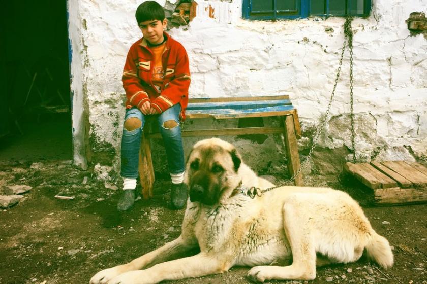 Caner : Filmi Hakkari’de çekseydim Kürtçe yapardım