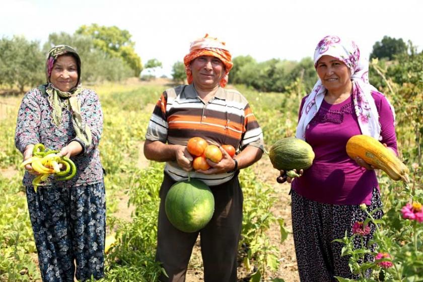 CHP'li Sarıbal: Havza bazlı destek, çiftçiye çare olmayacak