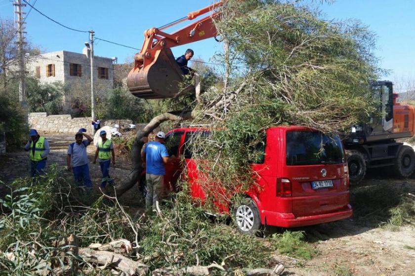 Datça'da lodos evlerin çatılarını uçurdu