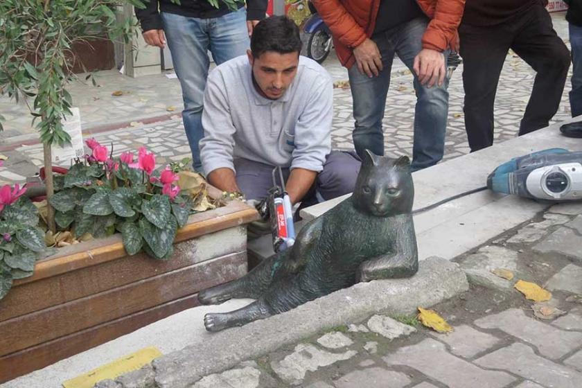 Tombili geri döndü, esnaf mutlu