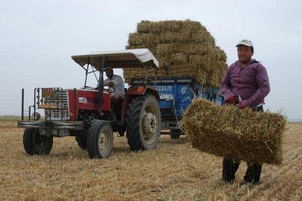 Diyarbakır'da 4 bin çiftçinin 70 milyon lirası bloke edildi