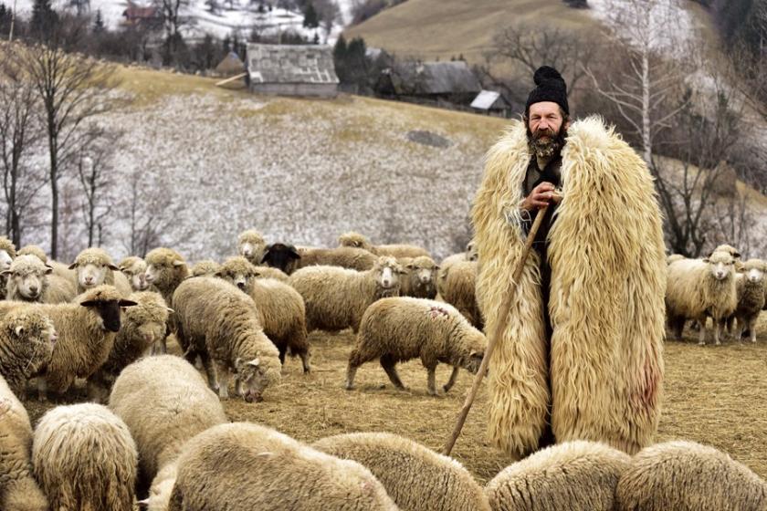 Dünyanın en büyük fotoğrafçılık yarışmasına son bir ay