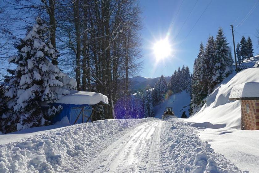 Doğu Karadeniz'de 874 köy yolu ulaşıma kapandı