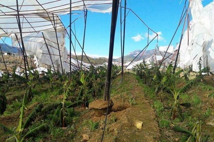 Çiftçiler sigorta şirketinin insafına kaldı