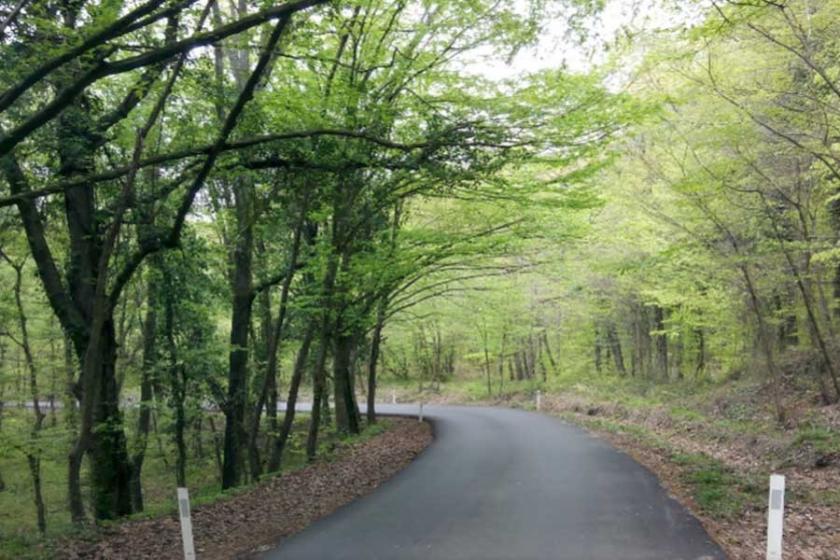 Belgrad Ormanı’nda ağaçlar işaretlendi