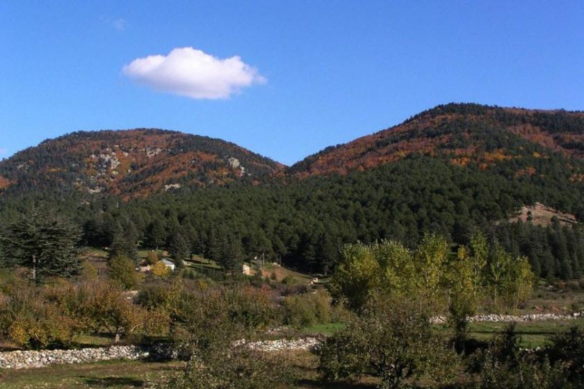 Hatay’ın Amanos kırsalında ‘özel güvenlik bölgesi’ ilanı