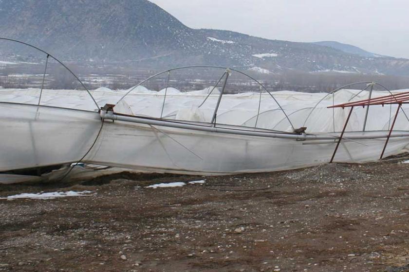 Tokat'ta kar seralara zarar verdi