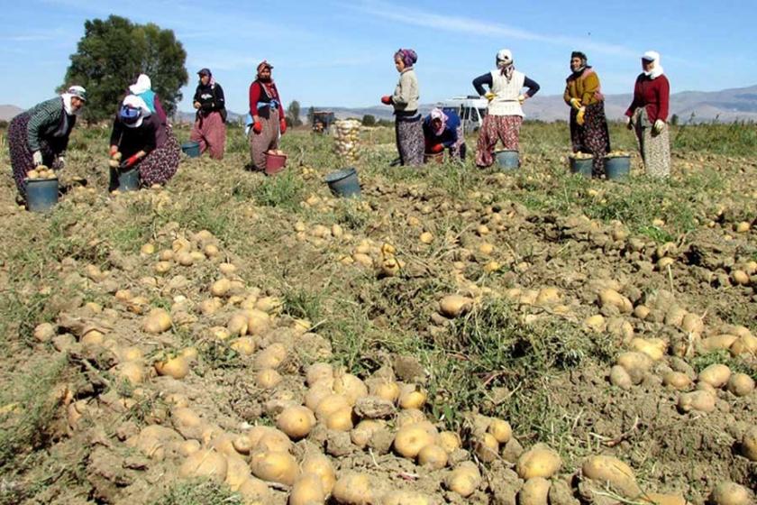 CHP Milletvekili Gürer: Hükümet Niğde'ye ilgisiz kaldı