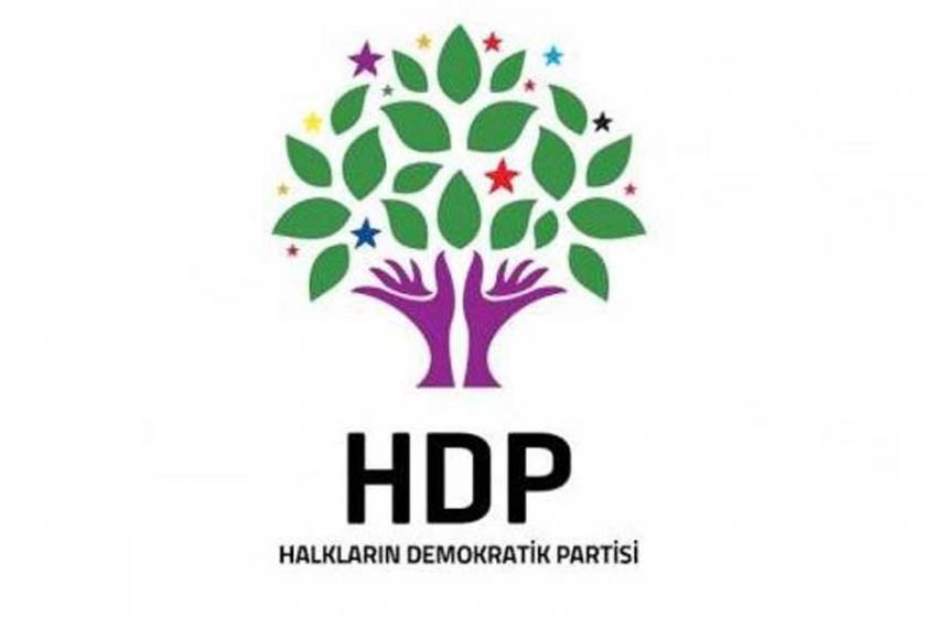 HDP'den açıklama: Eş başkan değil vekil atadık