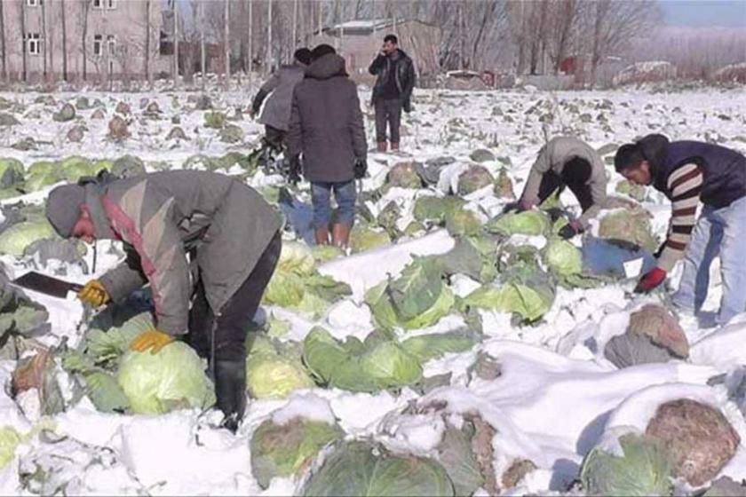 Çiftçilerin borçları Meclis gündemine taşındı