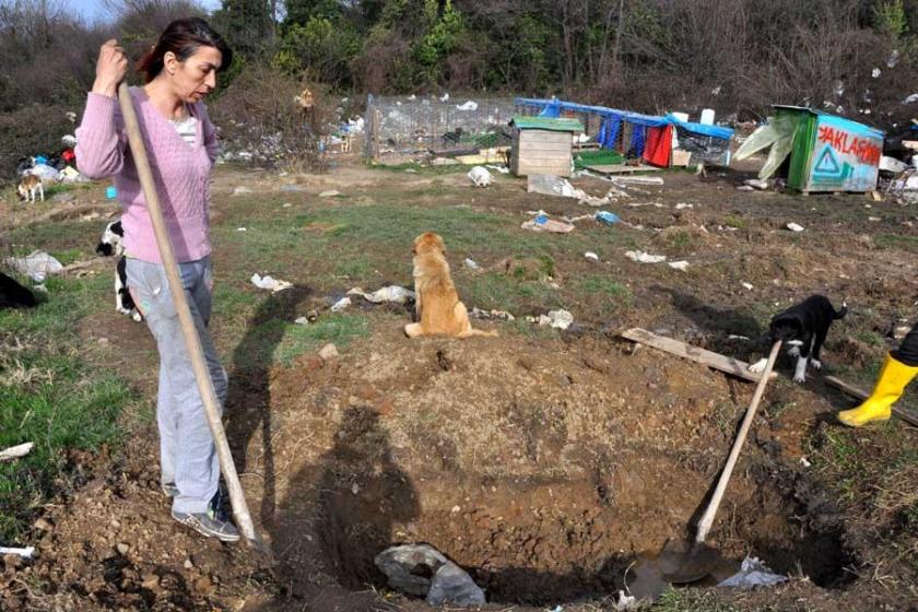 Hayvan hakları savunucuları açlık grevini sürdürüyor