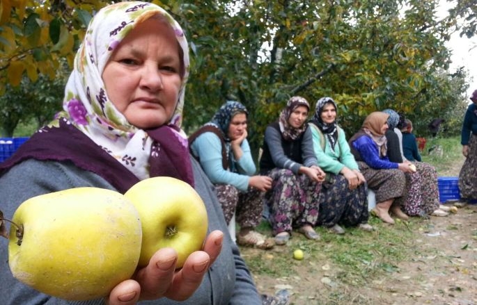 Tarım işçilerini kayıt altına alacak mısınız?