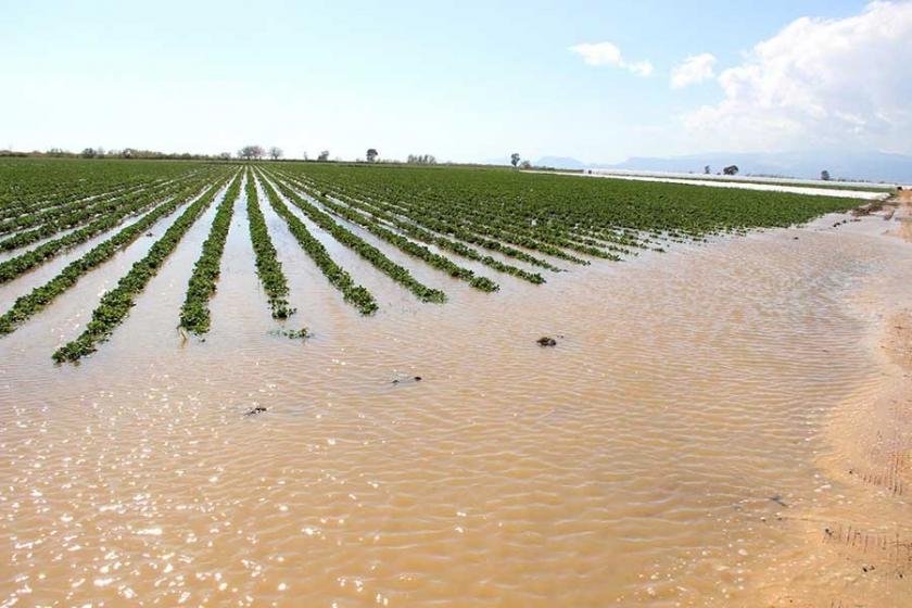 Göksu Irmağı taştı, tarım arazileri su altında kaldı