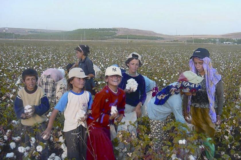 Çocuğun payına düşen sömürü ve ölüm