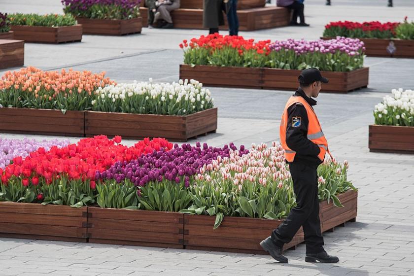 Hollanda'dan ithal edilen çiçekler devlet sırrı oldu!