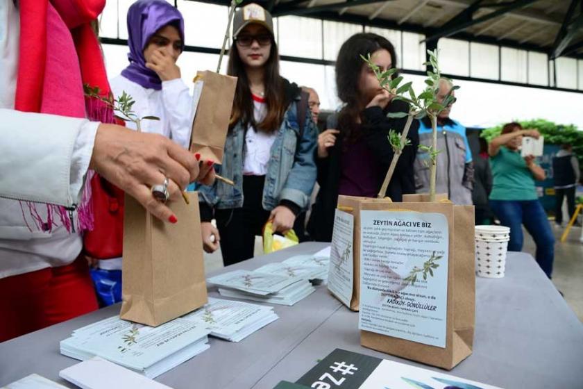 Haydarpaşa’daki 'Kitap Günleri'nde zeytin fidanı dağıtıldı