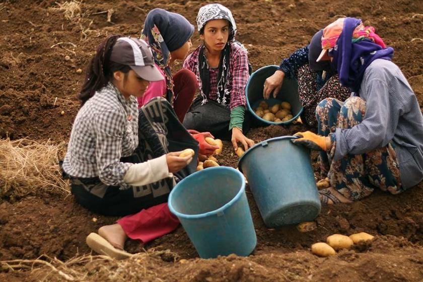 Tanal: Susuz bıraktığınız işçilerden hangi yüzle oy isteyeceksiniz?