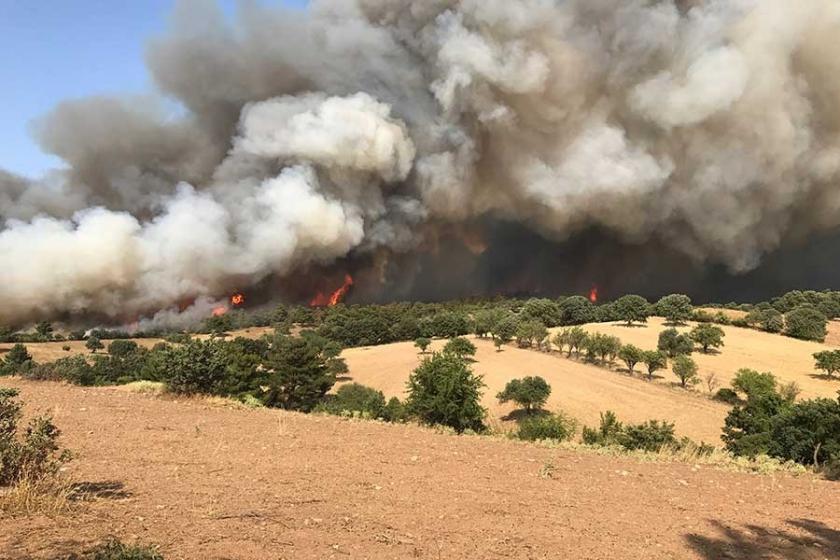 Çanakkale'deki orman yangını devam ediyor