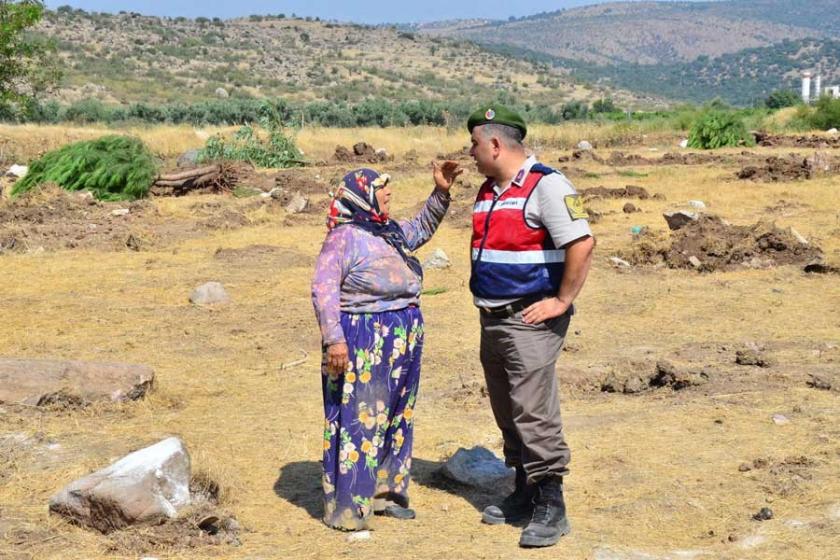 Manisa'da ağaç kıyımı: 'Biz bu ağaçları ellerimizle diktik'