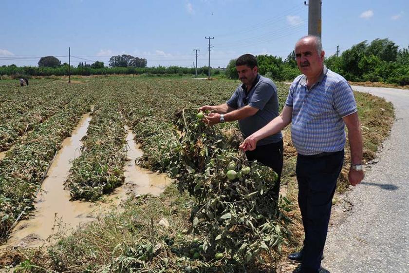 Afetler çiftçinin peşini bırakmıyor