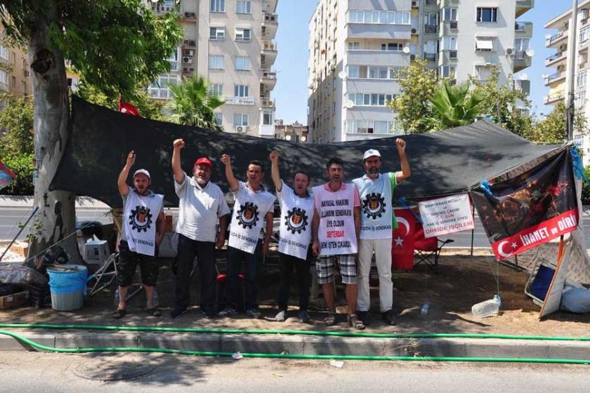 Orkide Yağ kayyımı önce işten attı sonra dava açtı!