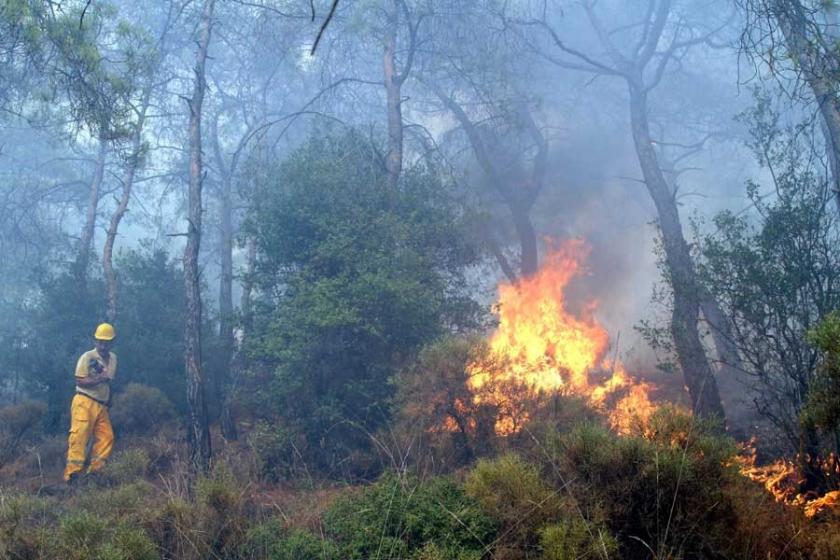 Fethiye'de orman yangını kontrol altına alındı