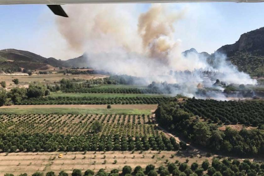 Antalya Serik'te orman yangını