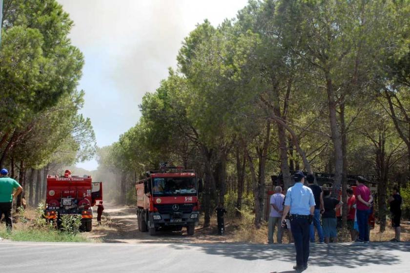 Antalya'da orman yangınında 50 dönüm alan zarar gördü