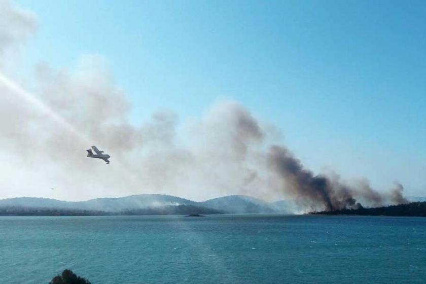 'Ayvalık'taki yanan orman alanında yapılan işlemler doğru'