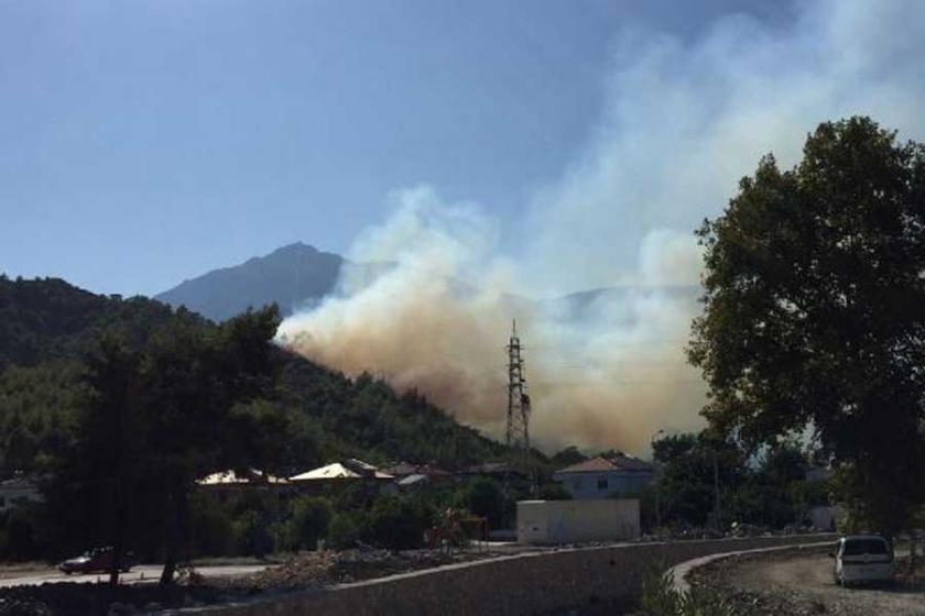 Antalya'da orman yangını