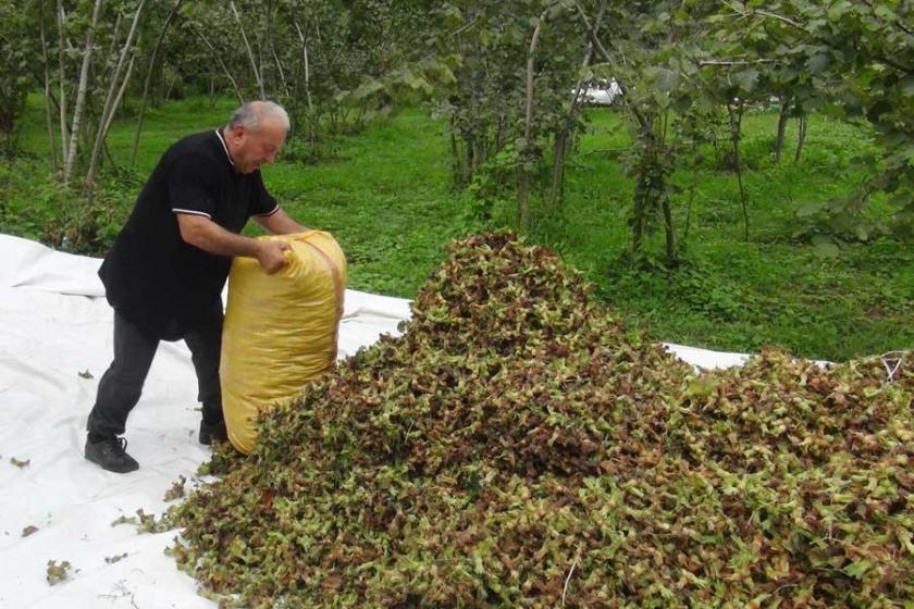 'TMO 10 liralık alım fiyatını revize etmeli'