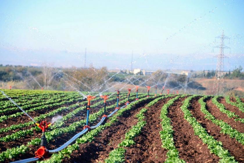 'Tarım politikası üreteni kaçırmak üzere kurgulanmış'