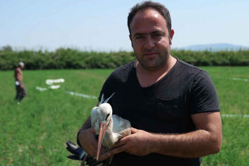 Yaralı bulunan leylek tedaviye alındı