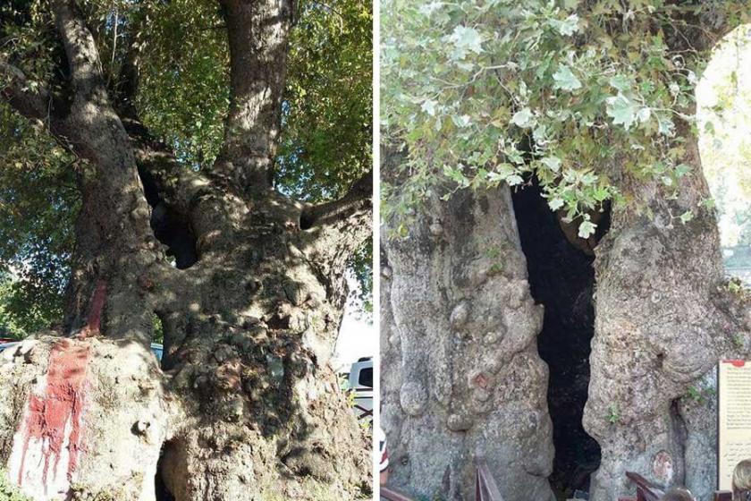 Hatay'ın yeni gözdesi, 'Hıdırbey'