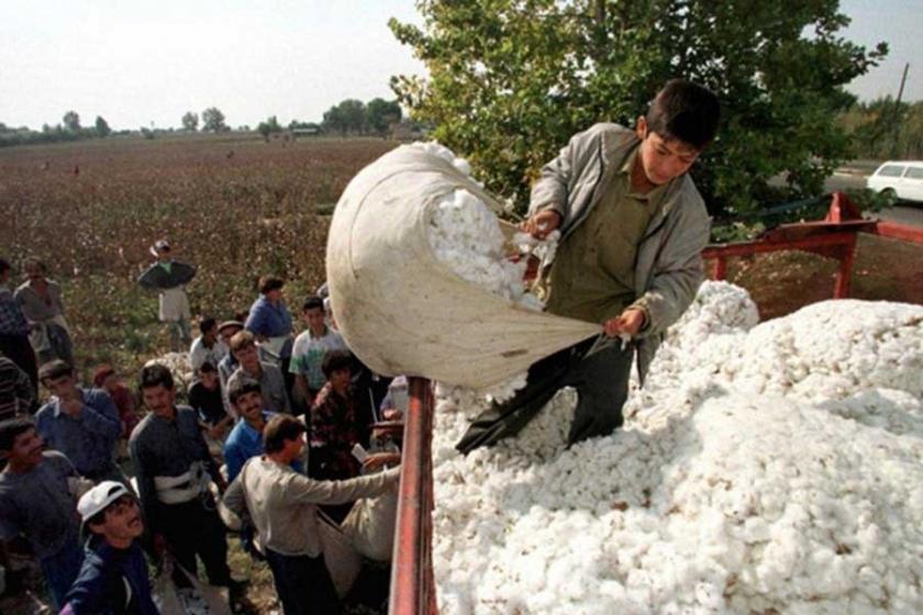 İş cinayetleri, çocuk işçiliği ve işsizlik artıyor