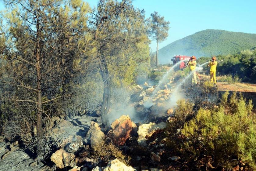 Bodrum'da orman yangını: 1 hektar ormanlık alan küle döndü