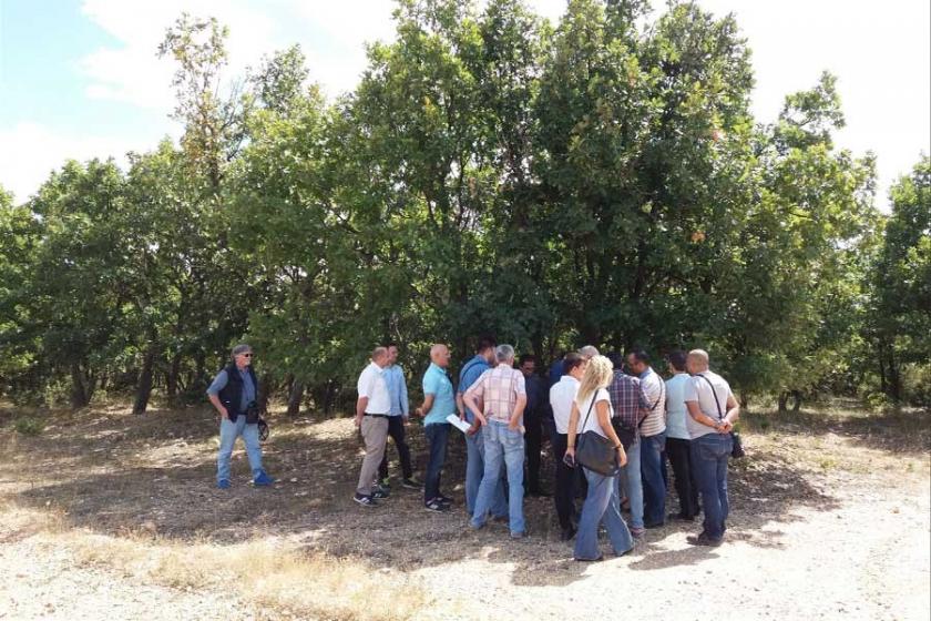 'Vize kömür değil, Ihlamur kokmalı'