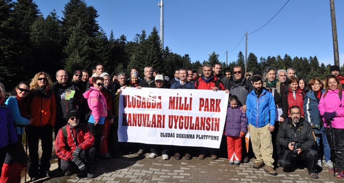 Uludağ’da ağaç kesimine tepki