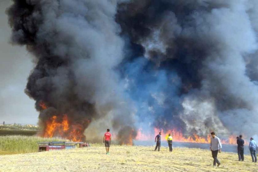 Karabük, Eskişehir ve Mogan Gölü’nde yangın çıktı